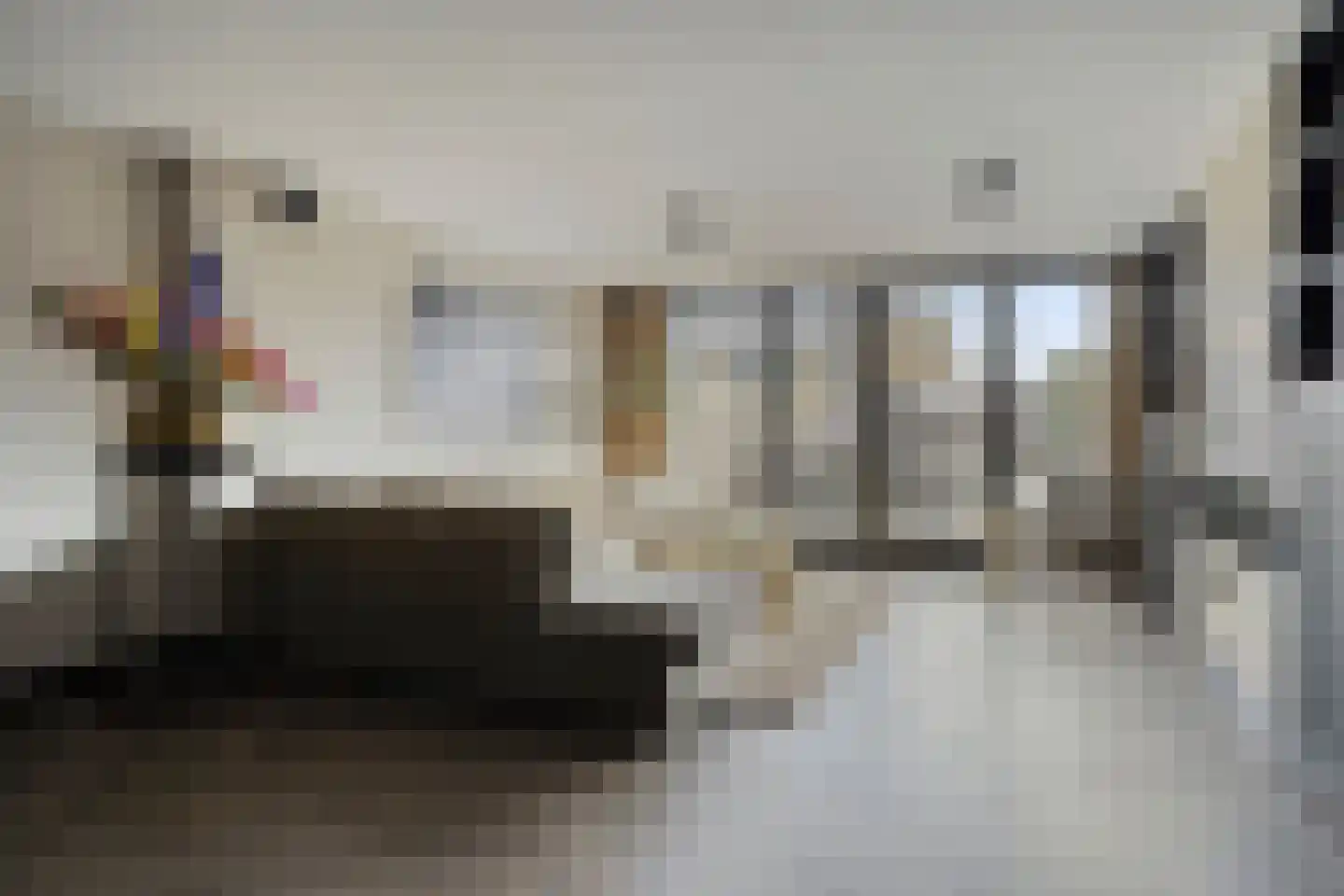 Dadelgaarde 99 Hendrik-Ido-Ambacht thumbnail 9