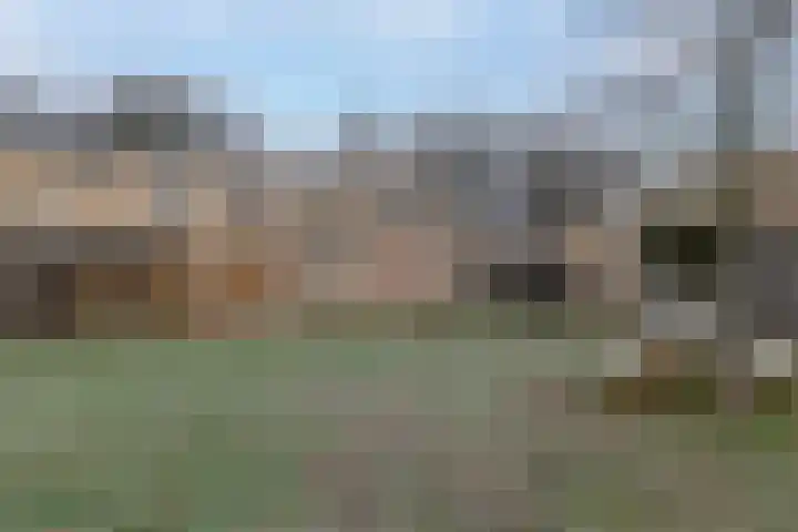 Dadelklaverstraat 20 Almere thumbnail 5