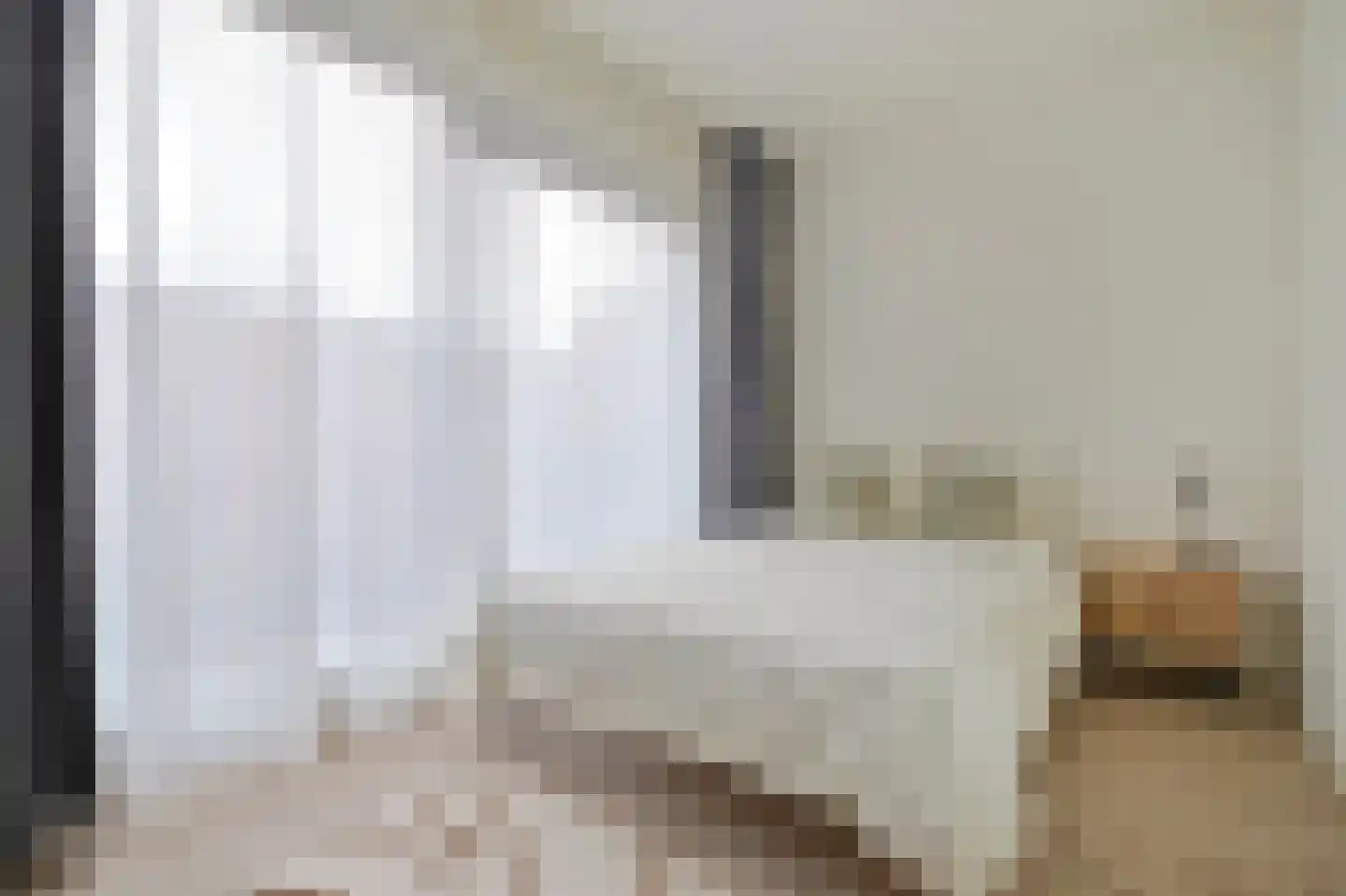 Dadelpalmstraat 9 B Amsterdam thumbnail 10