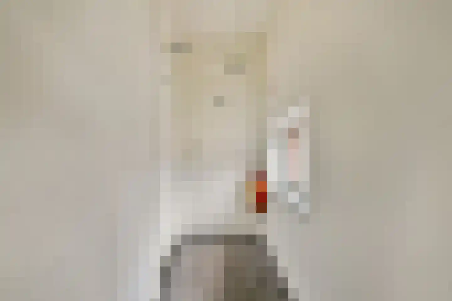 Dadelpalmstraat 9 B Amsterdam thumbnail 14
