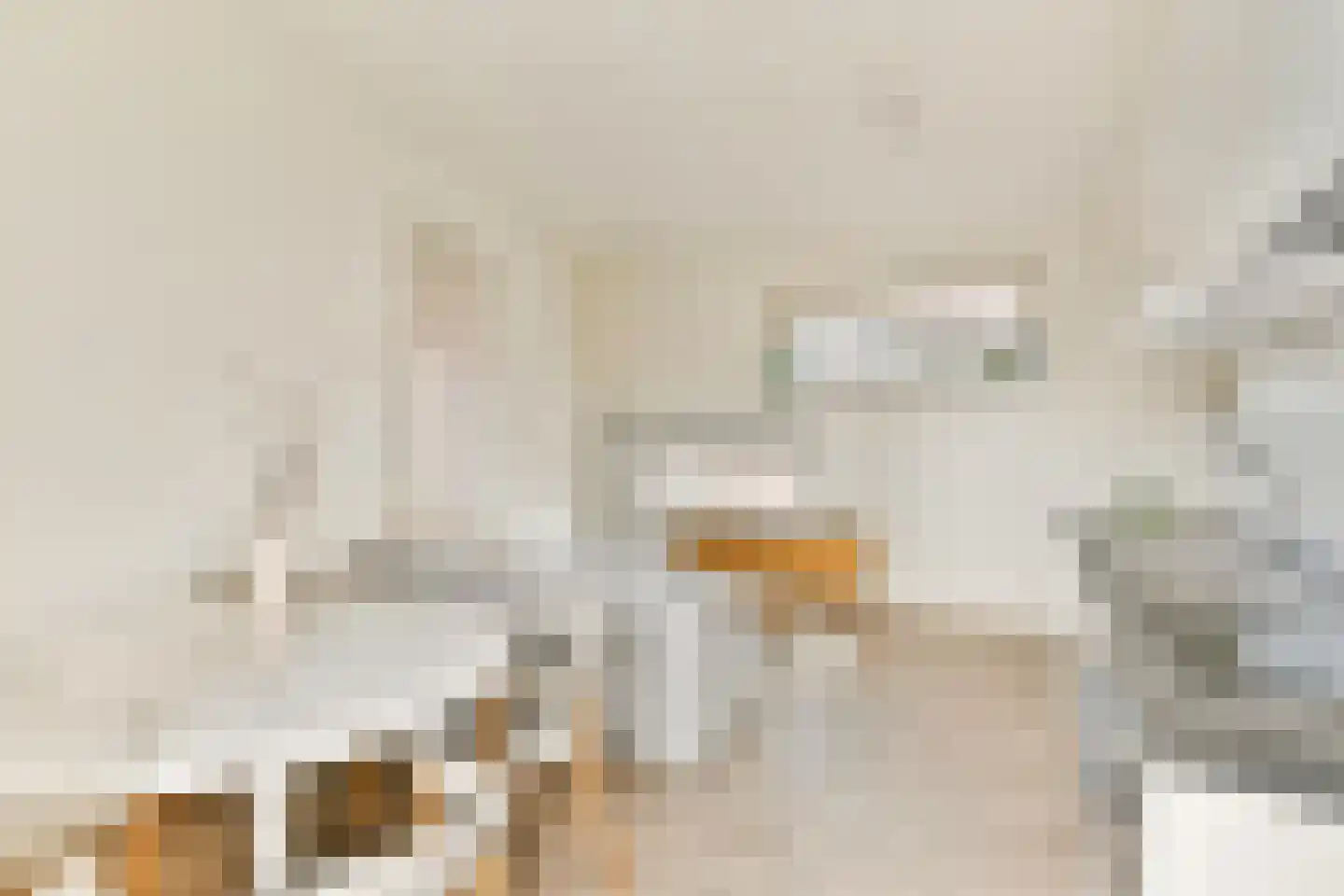 Dadelpalmstraat 9 B Amsterdam thumbnail 4