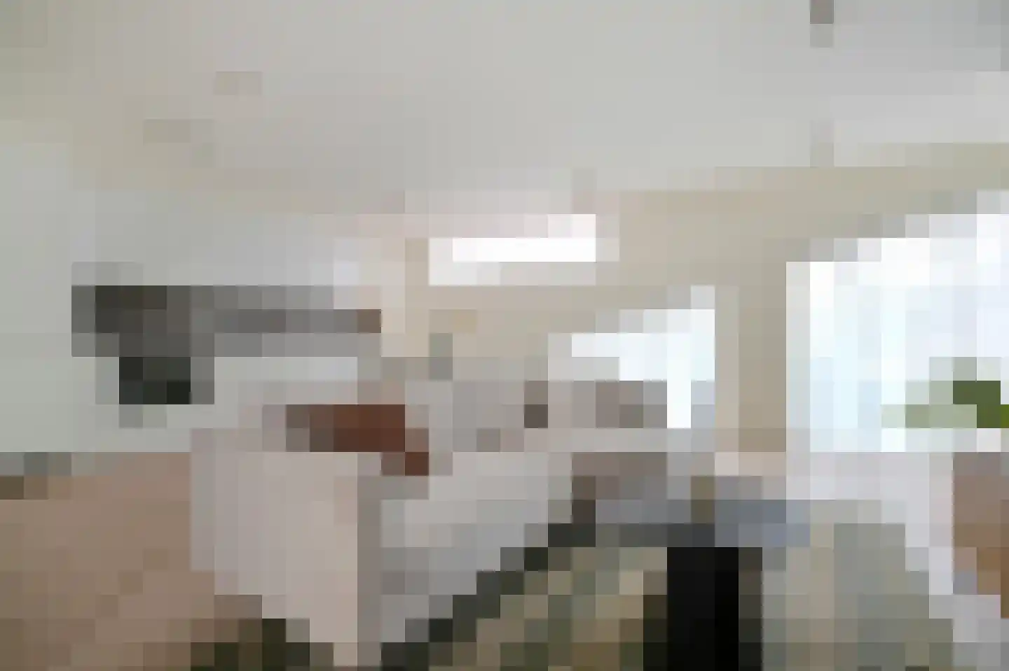 Dadelpalmstraat 9 B Amsterdam thumbnail 6