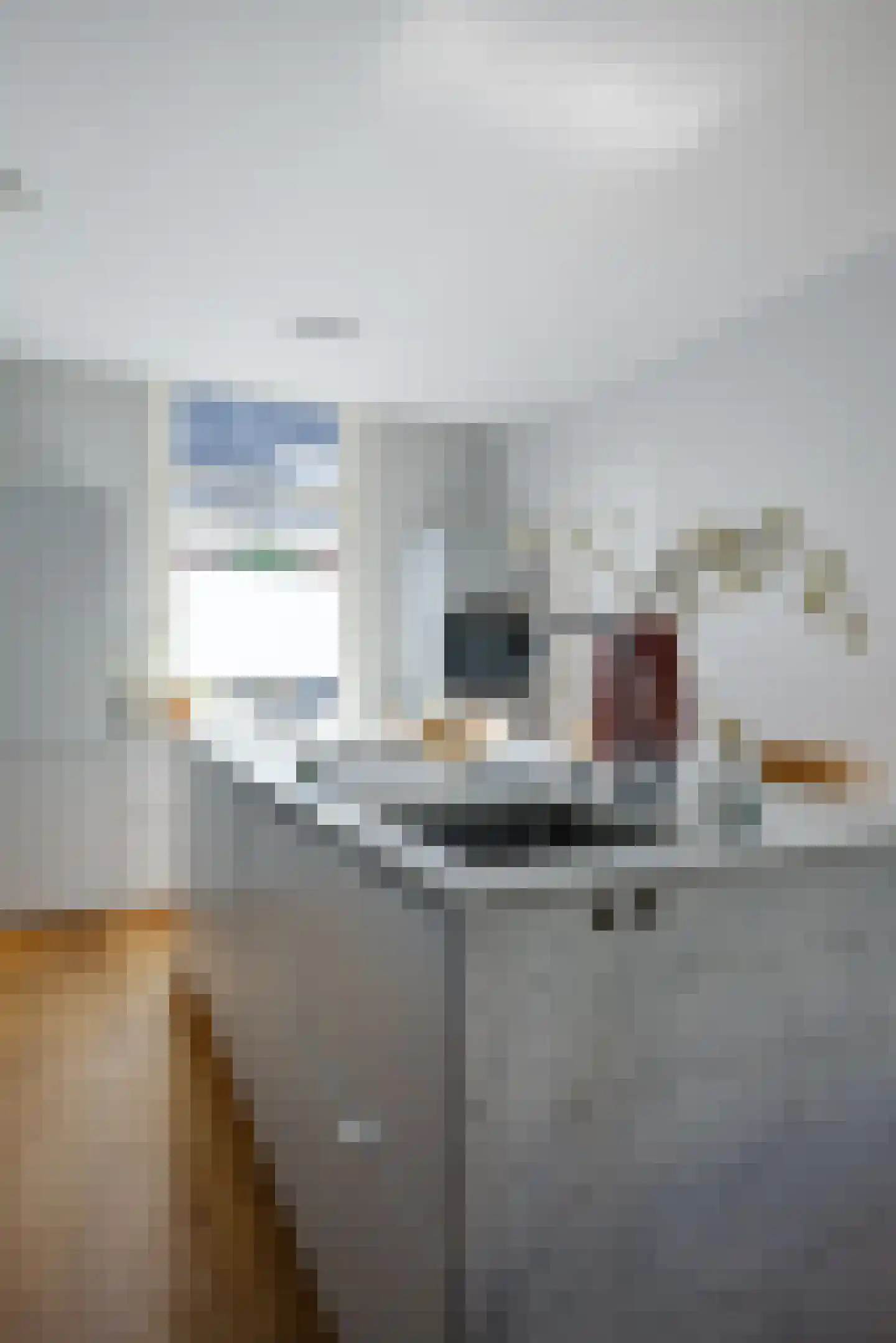 Dadelstraat 14 Utrecht thumbnail 15