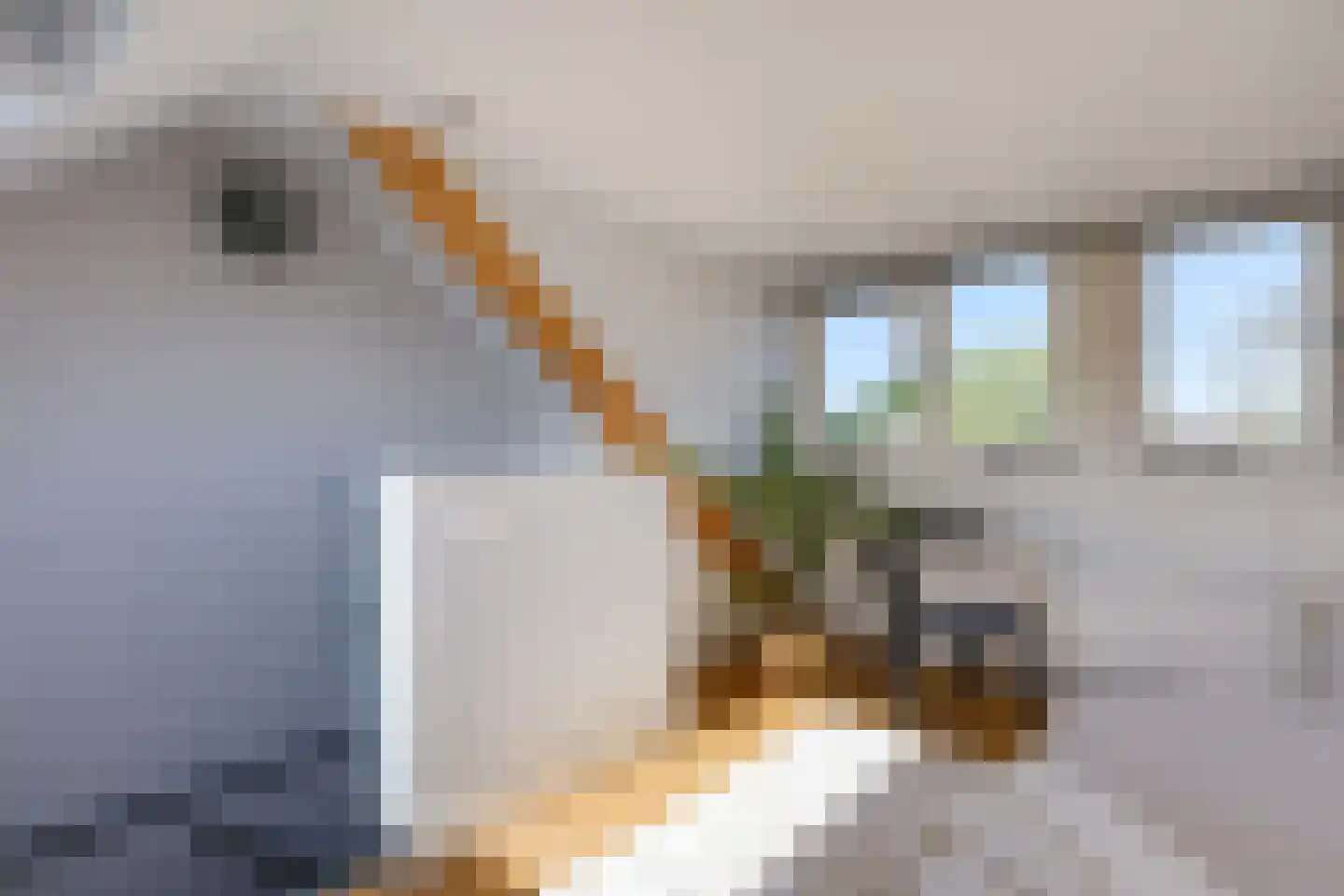 Dadelstraat 14 Utrecht thumbnail 32