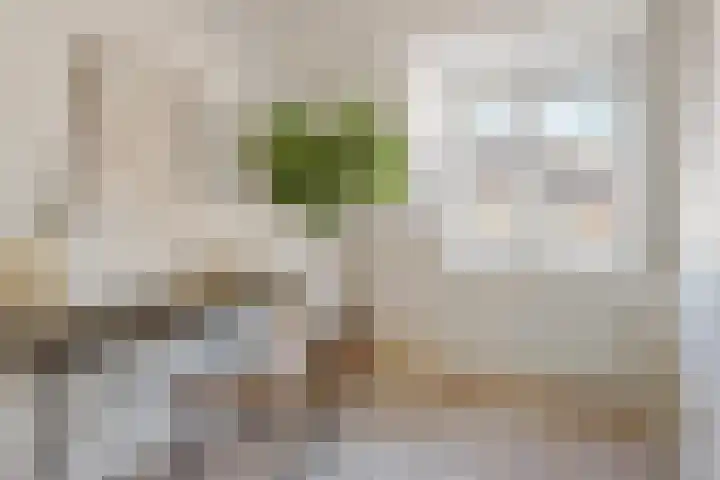 Dadelstraat 21 Utrecht thumbnail 21