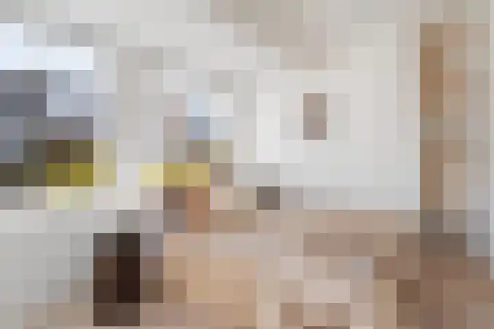 Dadelstraat 21 Utrecht thumbnail 30