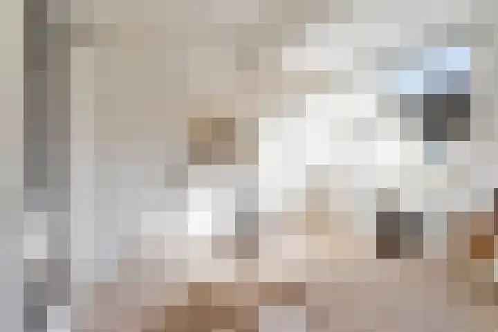 Dadelstraat 21 Utrecht thumbnail 31