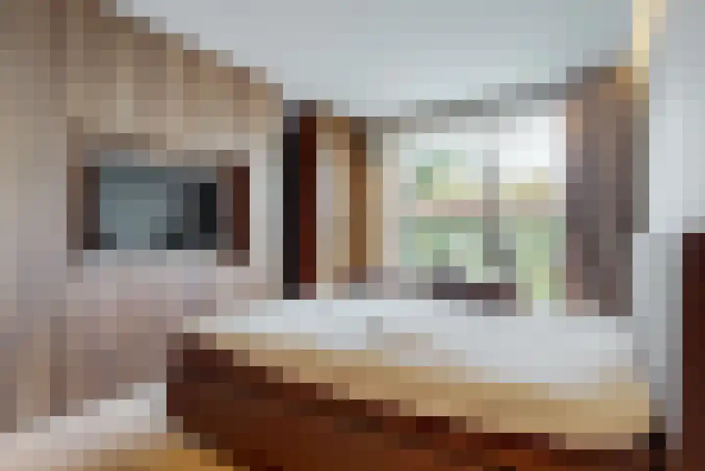Daelenbroek 5 Amsterdam thumbnail 37