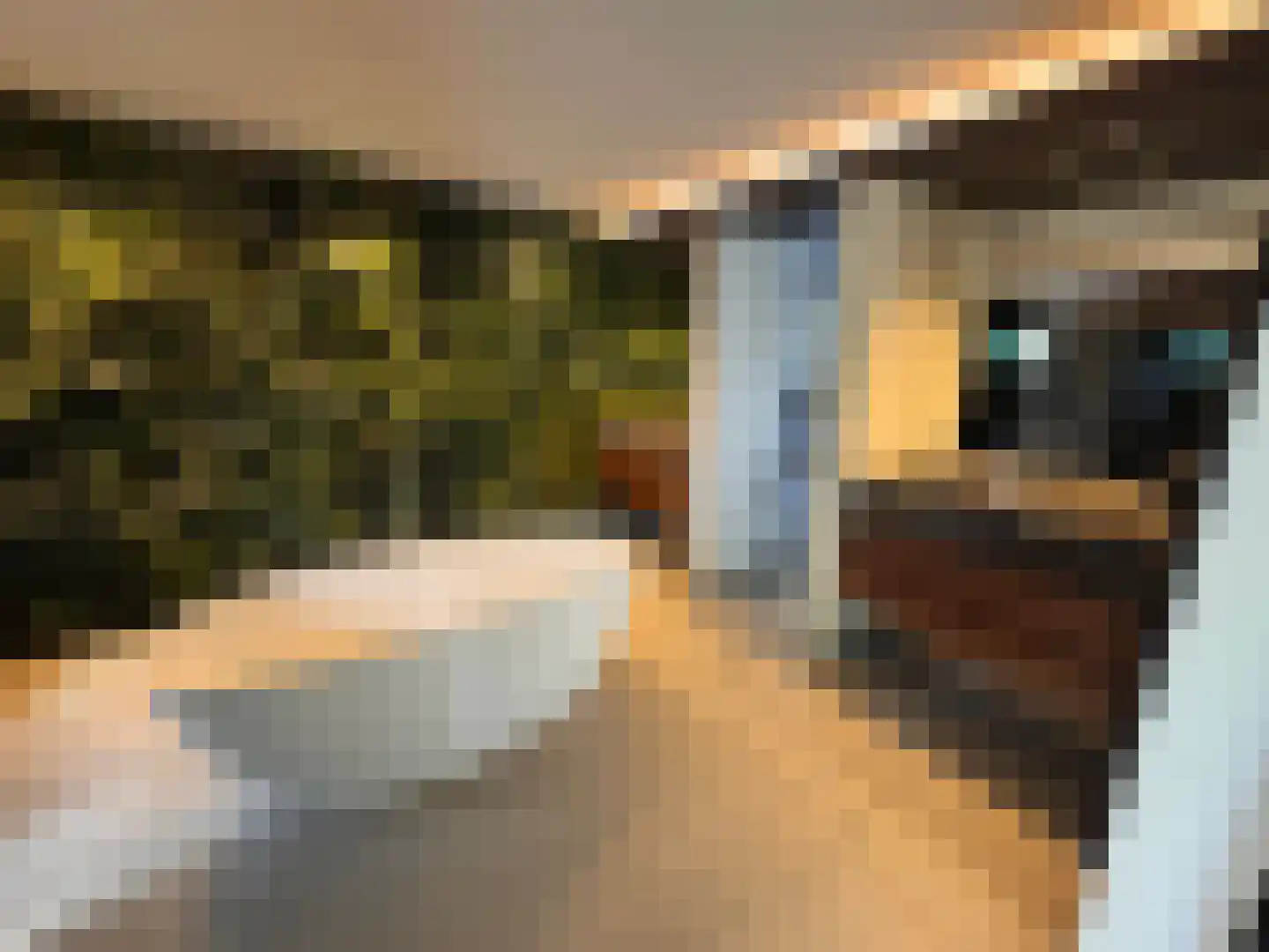 Daelenbroek 5 Amsterdam thumbnail 61