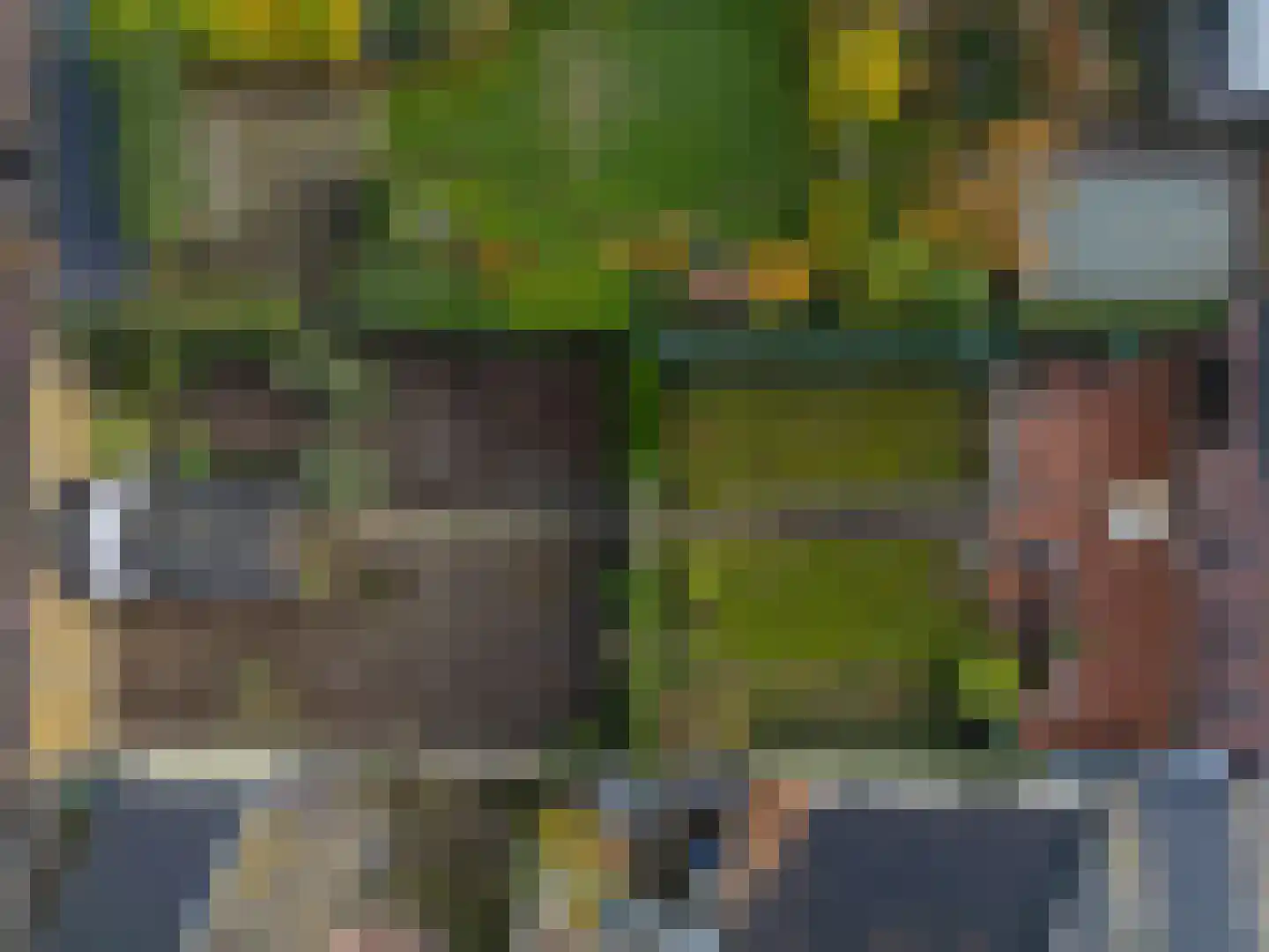 Daelenbroekweg 1 Herkenbosch thumbnail 10