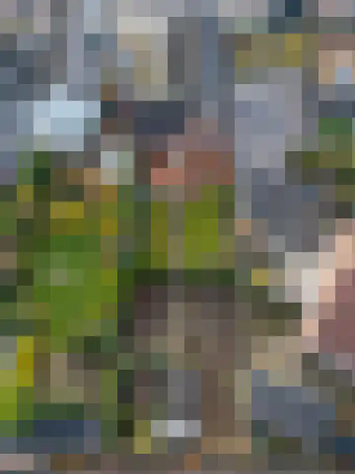 Daelenbroekweg 1 Herkenbosch thumbnail 10
