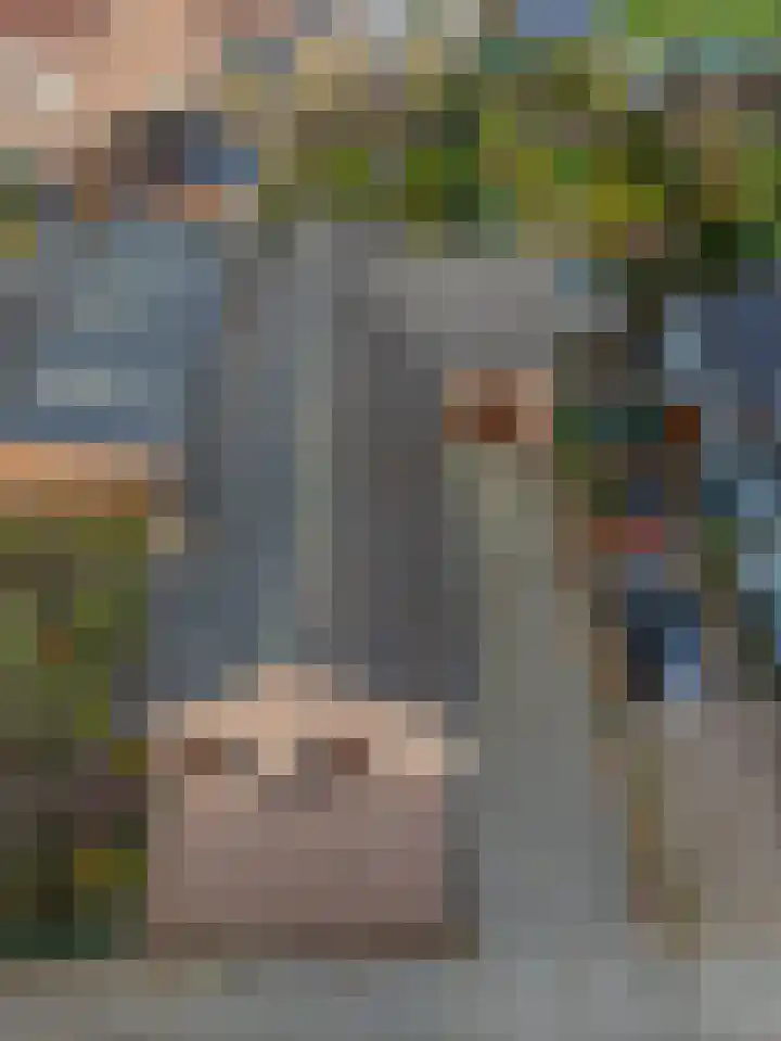 Daelenbroekweg 1 Herkenbosch thumbnail 11