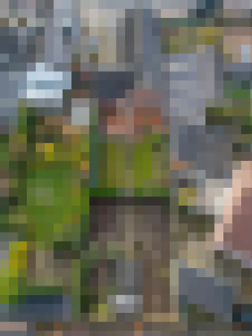 Daelenbroekweg 1 Herkenbosch thumbnail 11