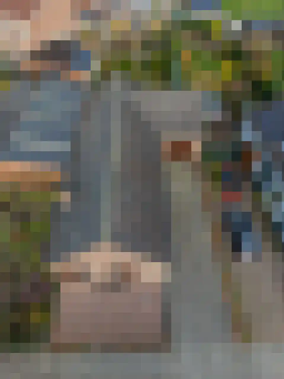 Daelenbroekweg 1 Herkenbosch thumbnail 12