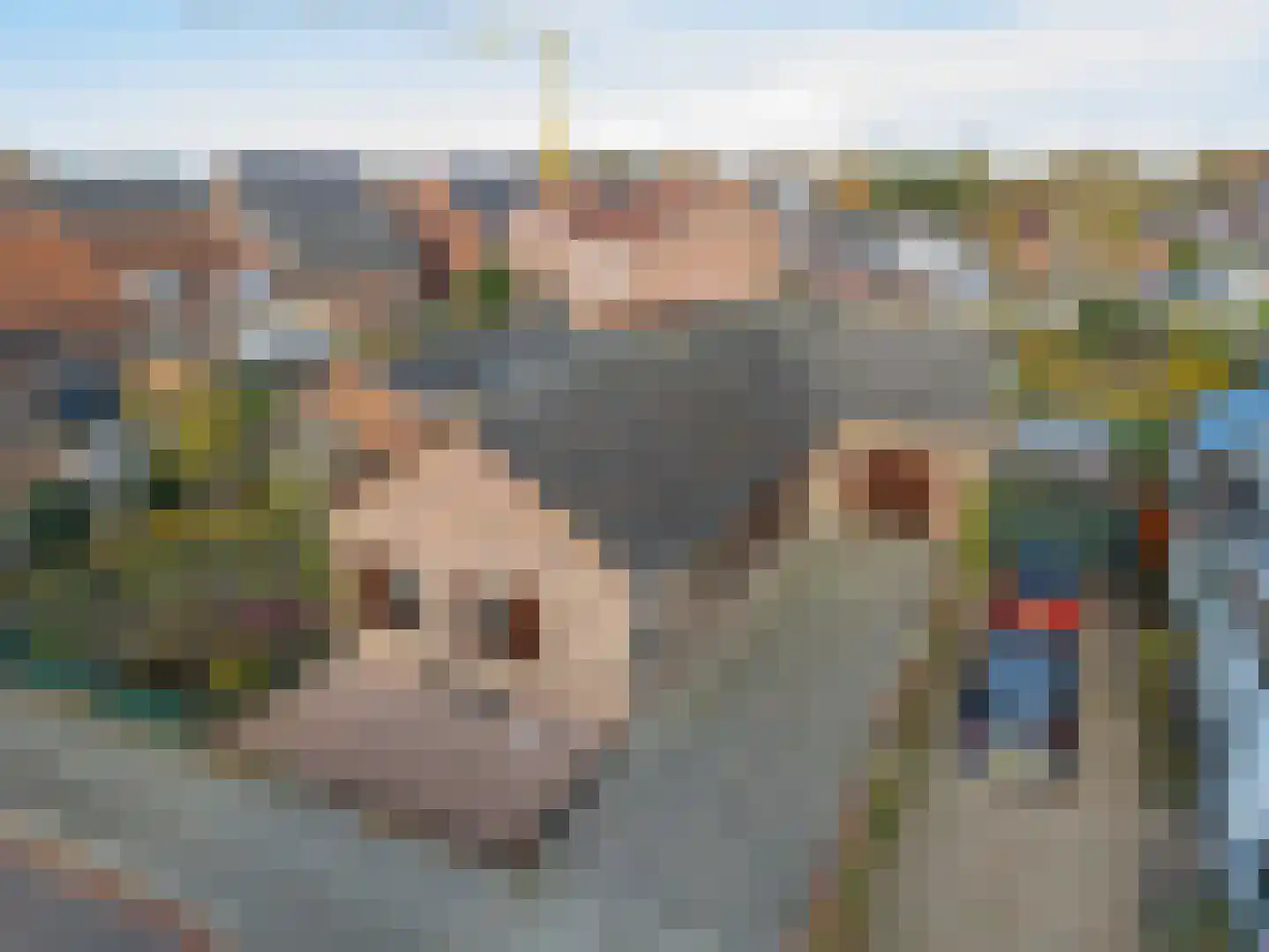 Daelenbroekweg 1 Herkenbosch thumbnail 13