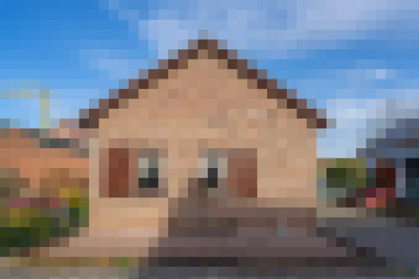 Daelenbroekweg 1 Herkenbosch thumbnail 15