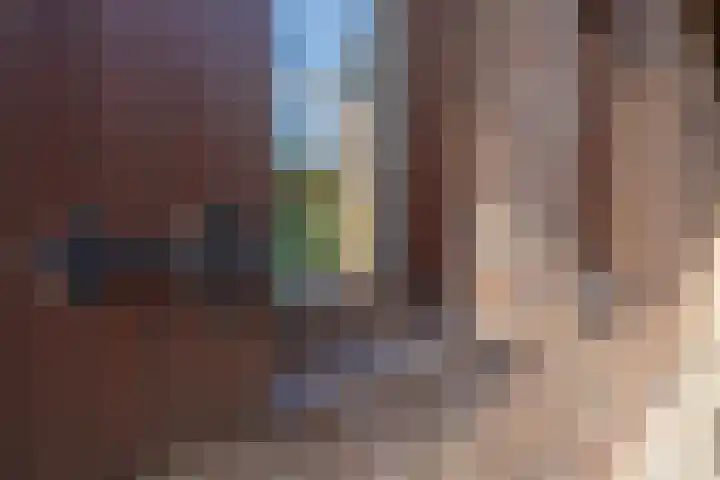 Daelenbroekweg 1 Herkenbosch thumbnail 18