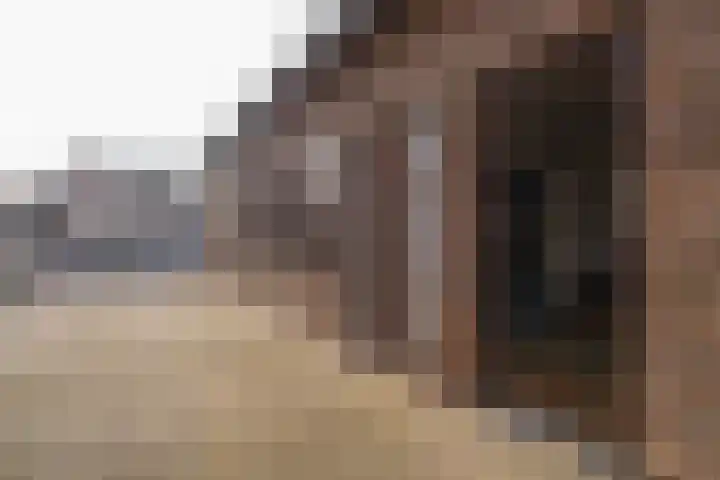 Daelenbroekweg 1 Herkenbosch thumbnail 19