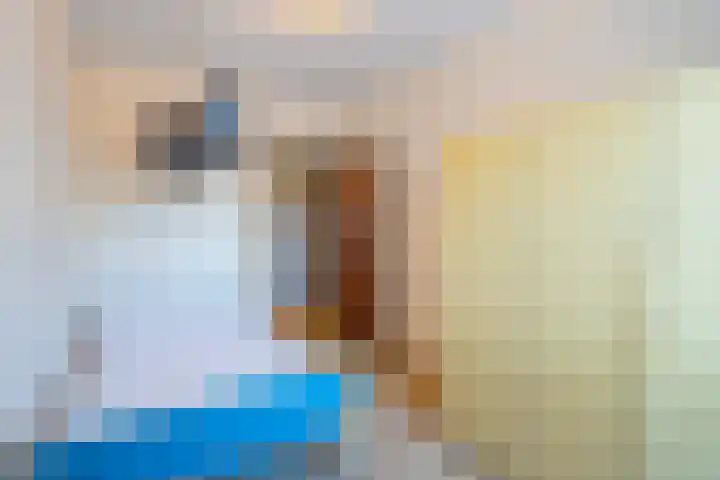 Daelenbroekweg 1 Herkenbosch thumbnail 31