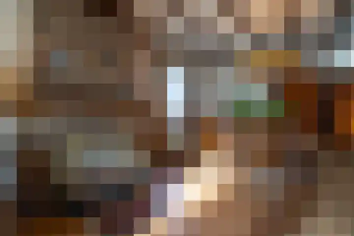 Daelenbroekweg 1 Herkenbosch thumbnail 36