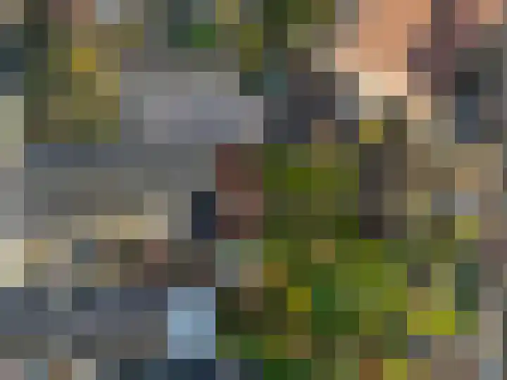 Daelenbroekweg 1 Herkenbosch thumbnail 4