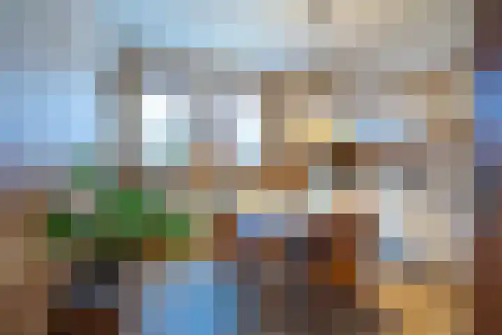 Daelenbroekweg 1 Herkenbosch thumbnail 42