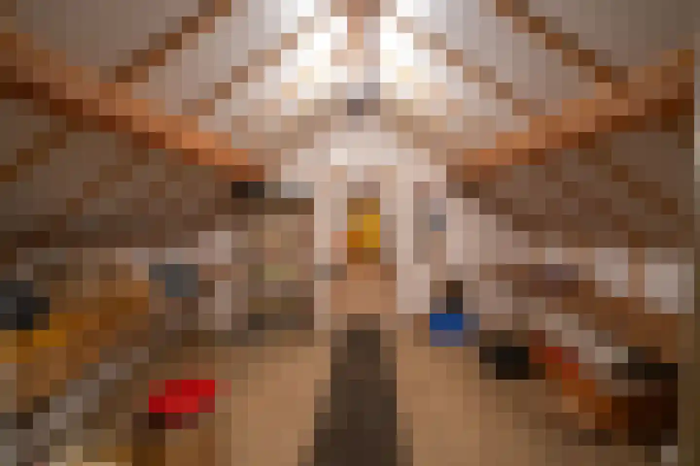 Daelenbroekweg 1 Herkenbosch thumbnail 45