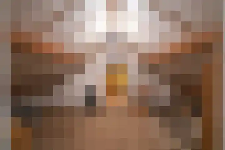 Daelenbroekweg 1 Herkenbosch thumbnail 46