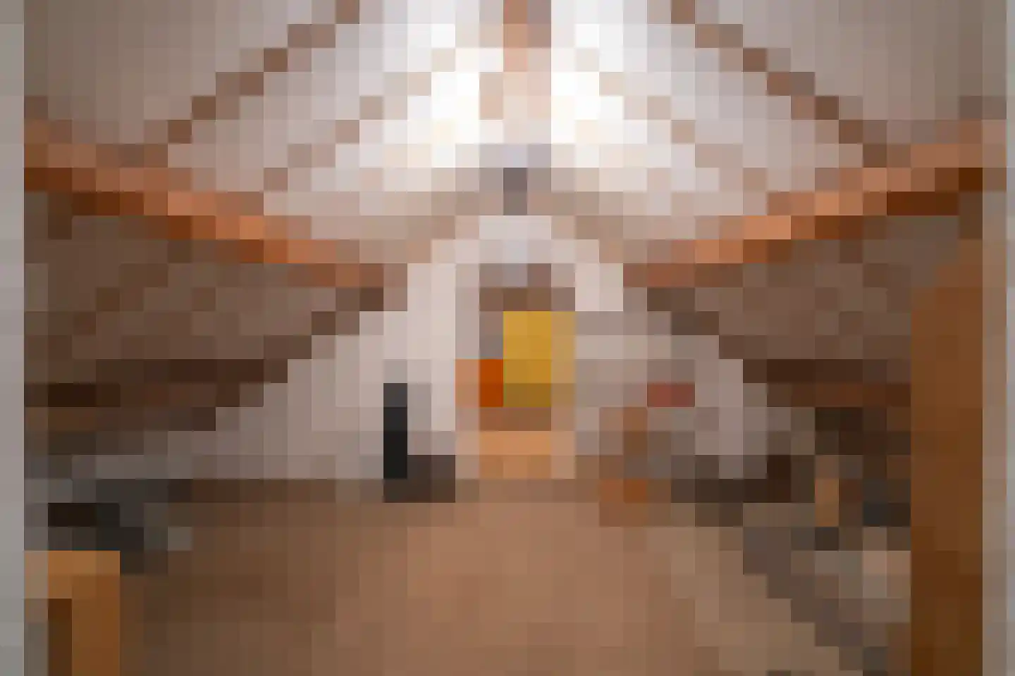 Daelenbroekweg 1 Herkenbosch thumbnail 46