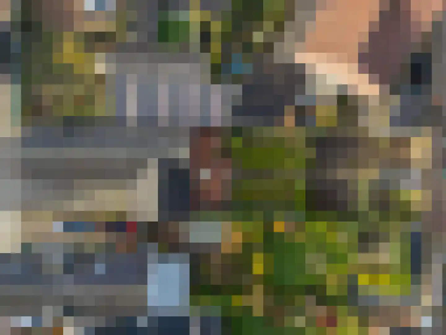 Daelenbroekweg 1 Herkenbosch thumbnail 5