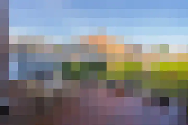 Daelenbroekweg 1 Herkenbosch thumbnail 50