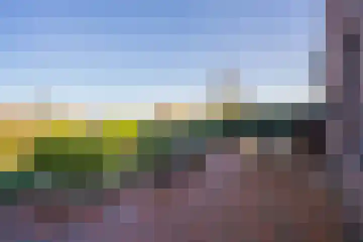 Daelenbroekweg 1 Herkenbosch thumbnail 51