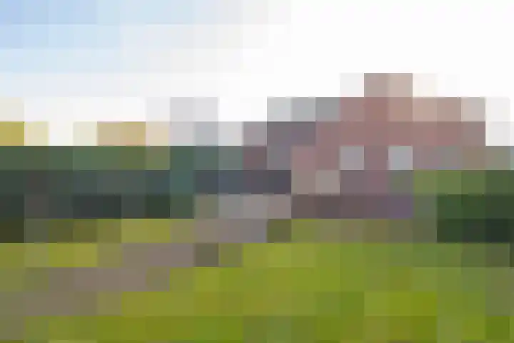 Daelenbroekweg 1 Herkenbosch thumbnail 52