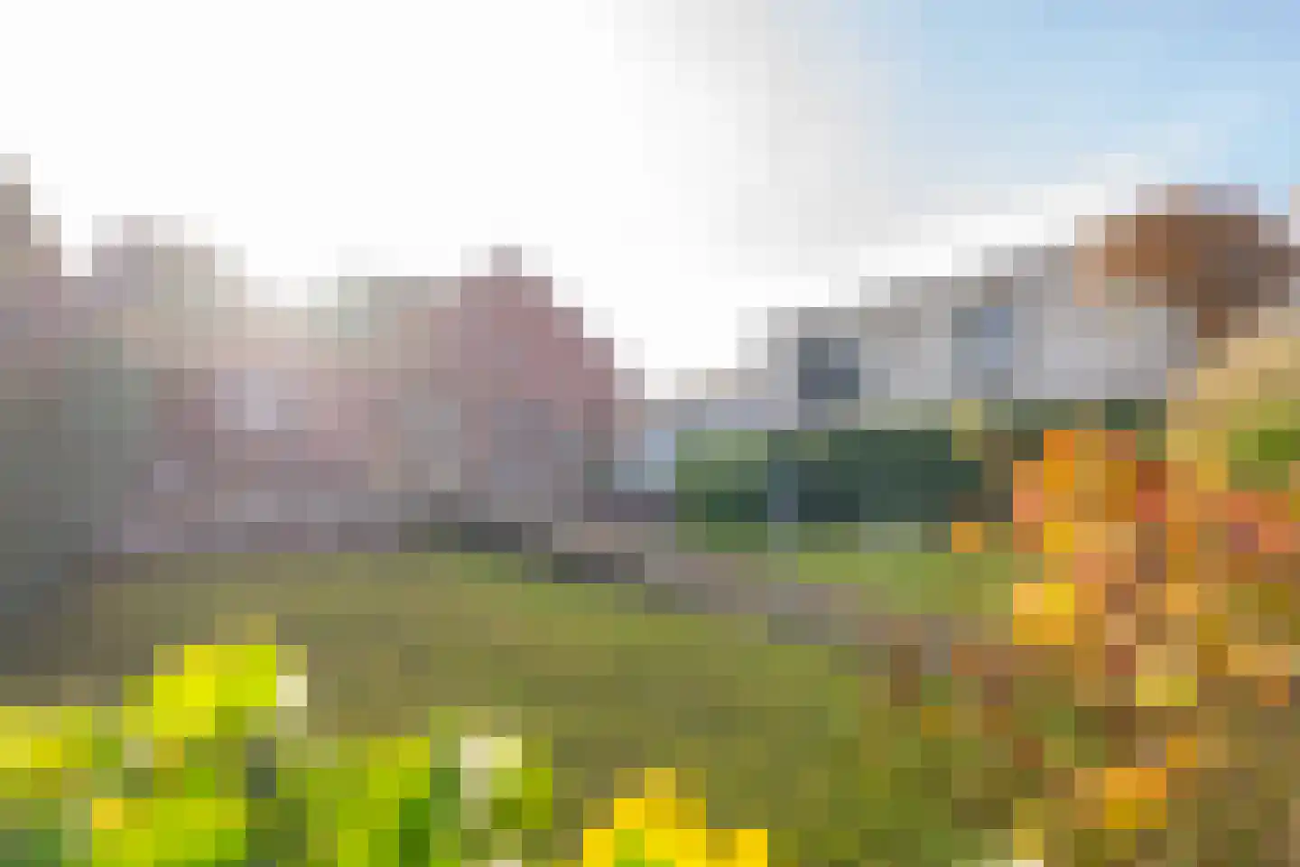 Daelenbroekweg 1 Herkenbosch thumbnail 53