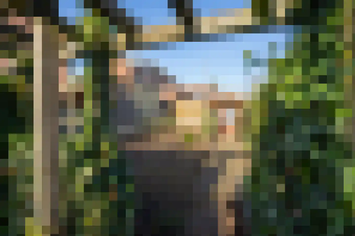 Daelenbroekweg 1 Herkenbosch thumbnail 54