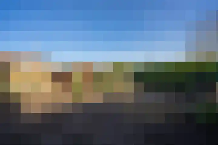 Daelenbroekweg 1 Herkenbosch thumbnail 56