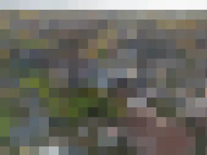Daelenbroekweg 1 Herkenbosch thumbnail 6