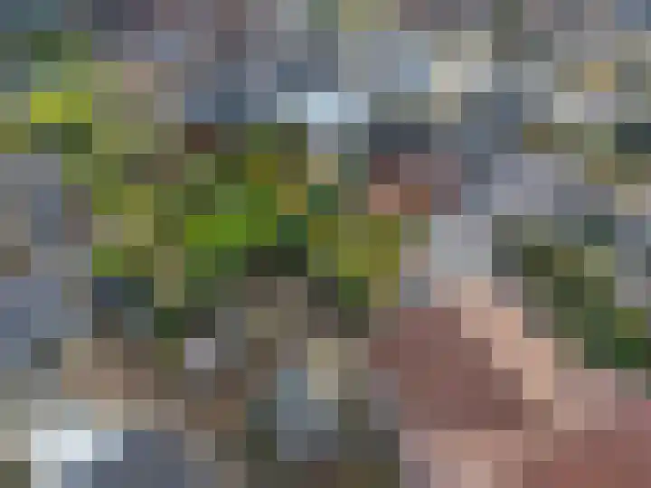 Daelenbroekweg 1 Herkenbosch thumbnail 7