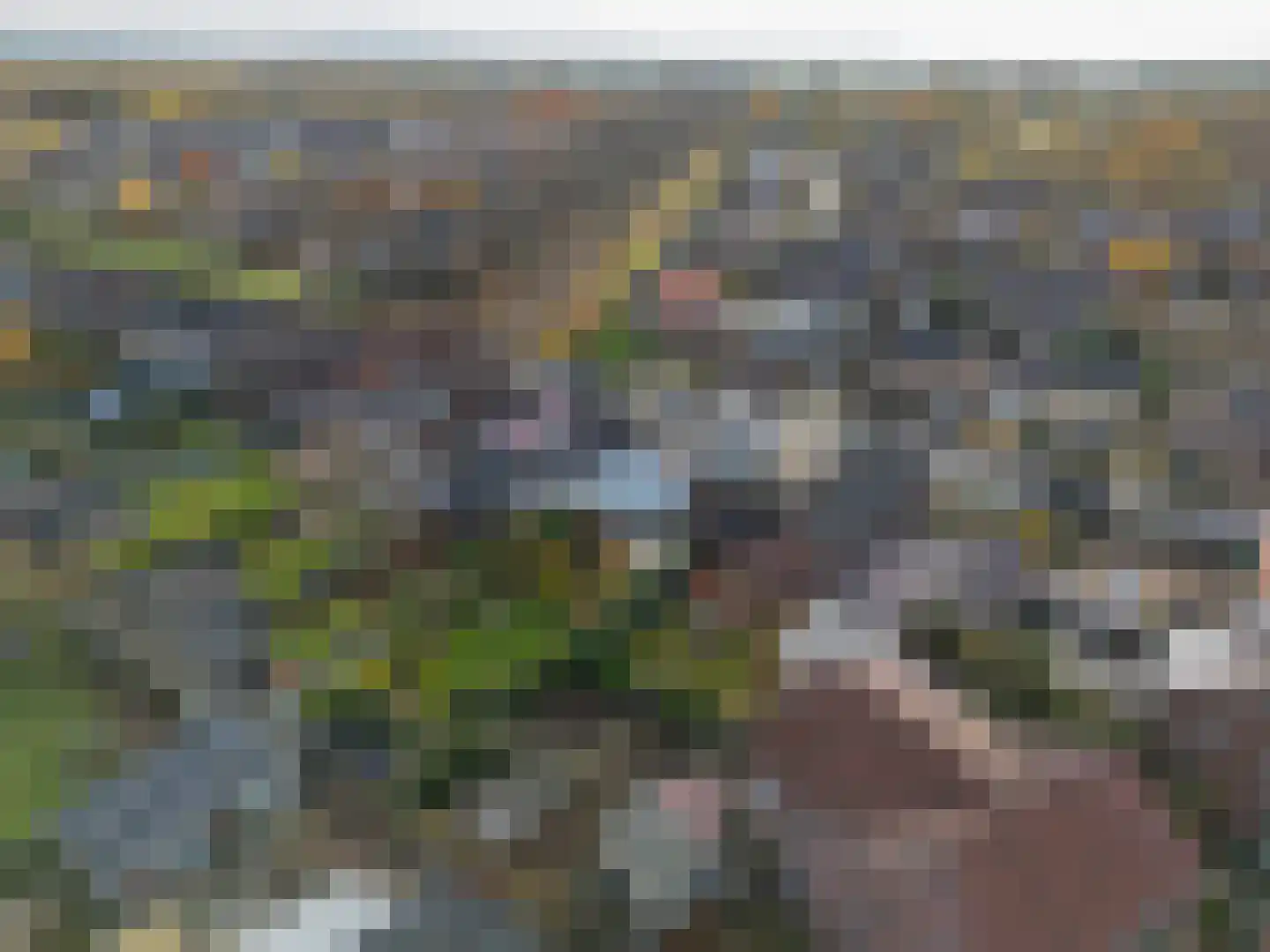 Daelenbroekweg 1 Herkenbosch thumbnail 7