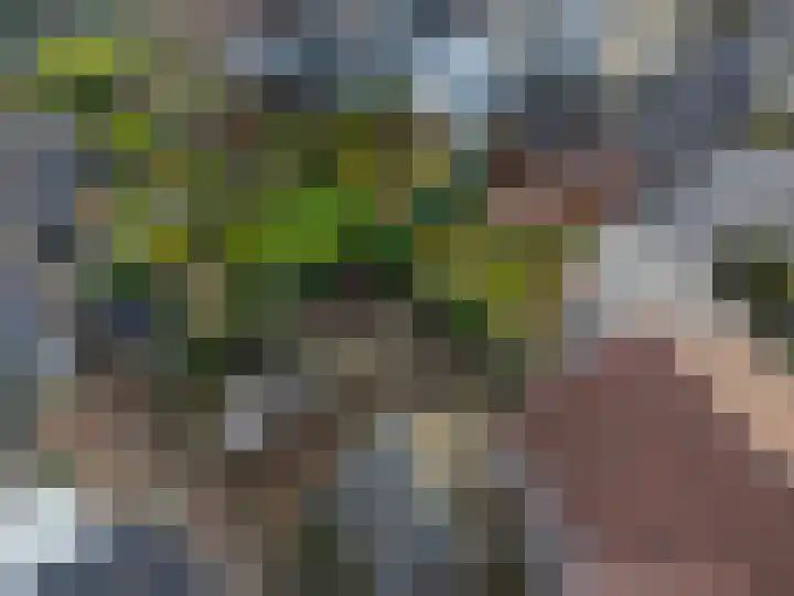 Daelenbroekweg 1 Herkenbosch thumbnail 8