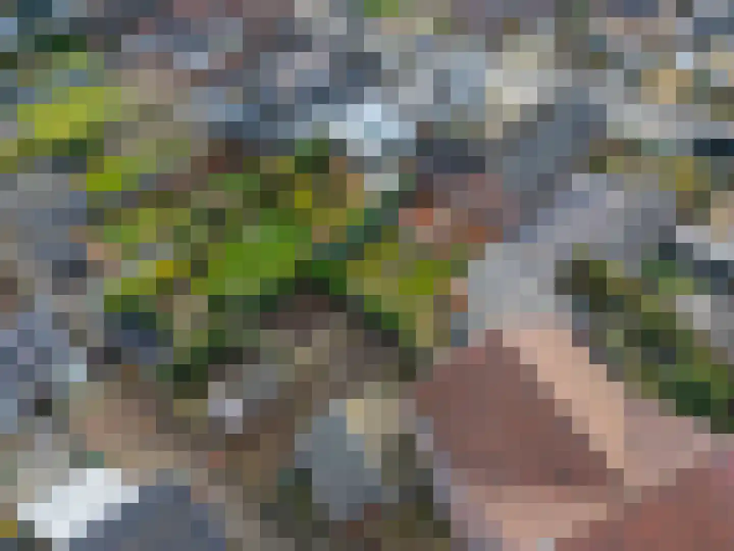 Daelenbroekweg 1 Herkenbosch thumbnail 8