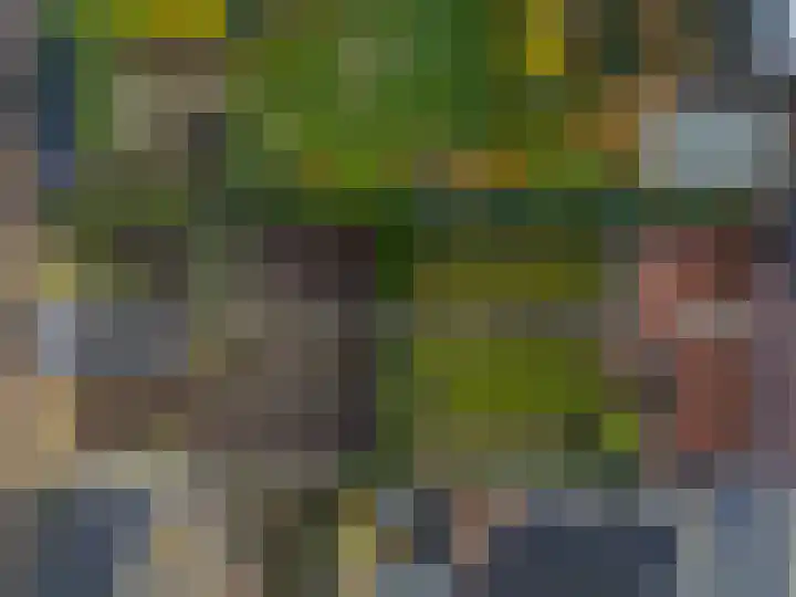 Daelenbroekweg 1 Herkenbosch thumbnail 9