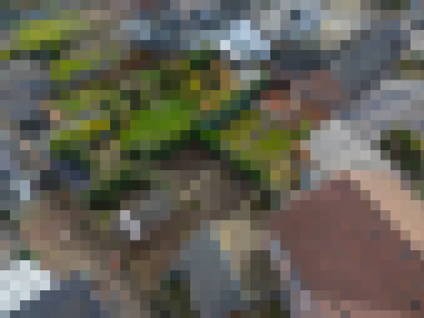 Daelenbroekweg 1 Herkenbosch thumbnail 9