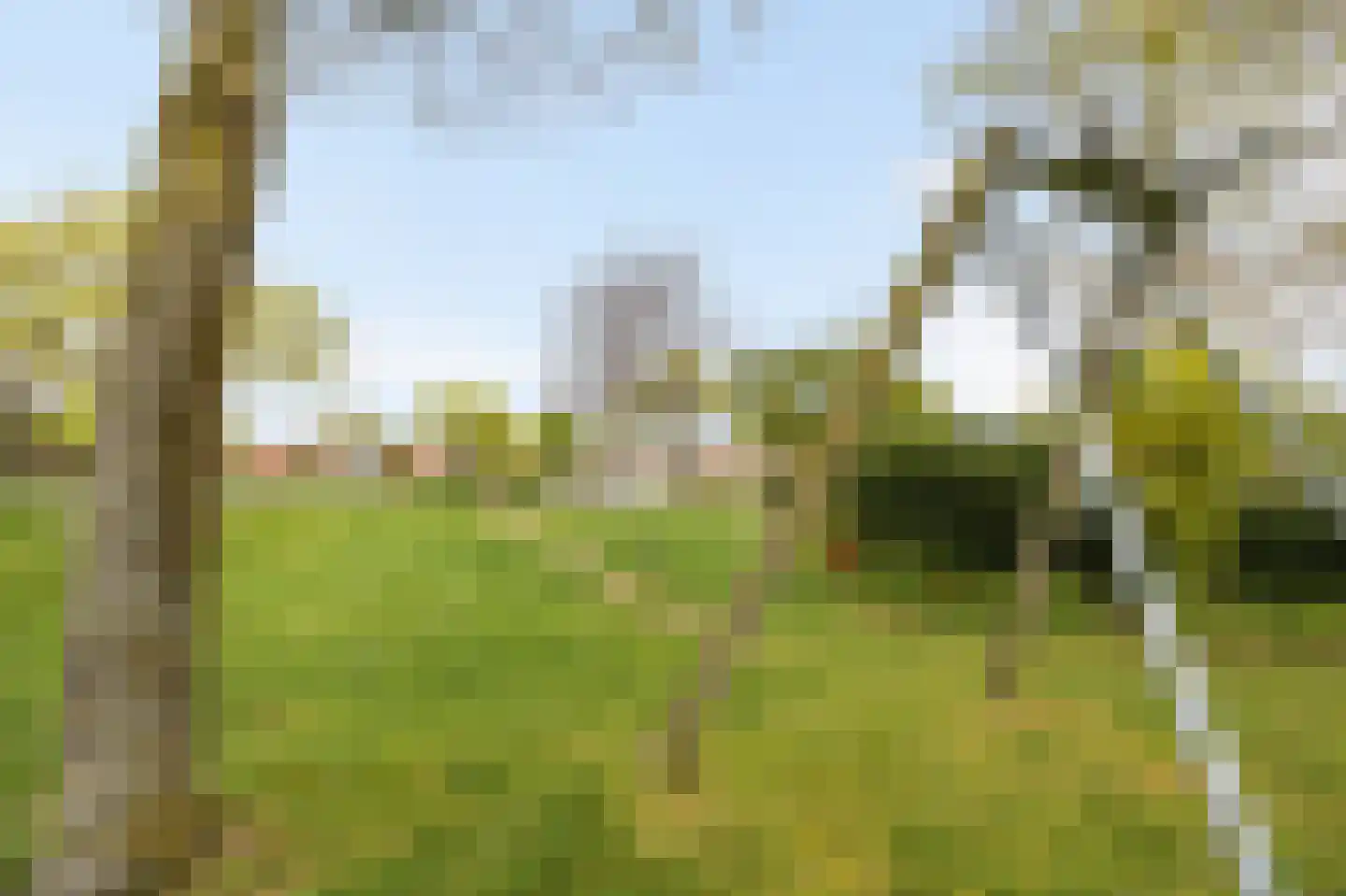 Daelenbroekweg 8 Herten thumbnail 29