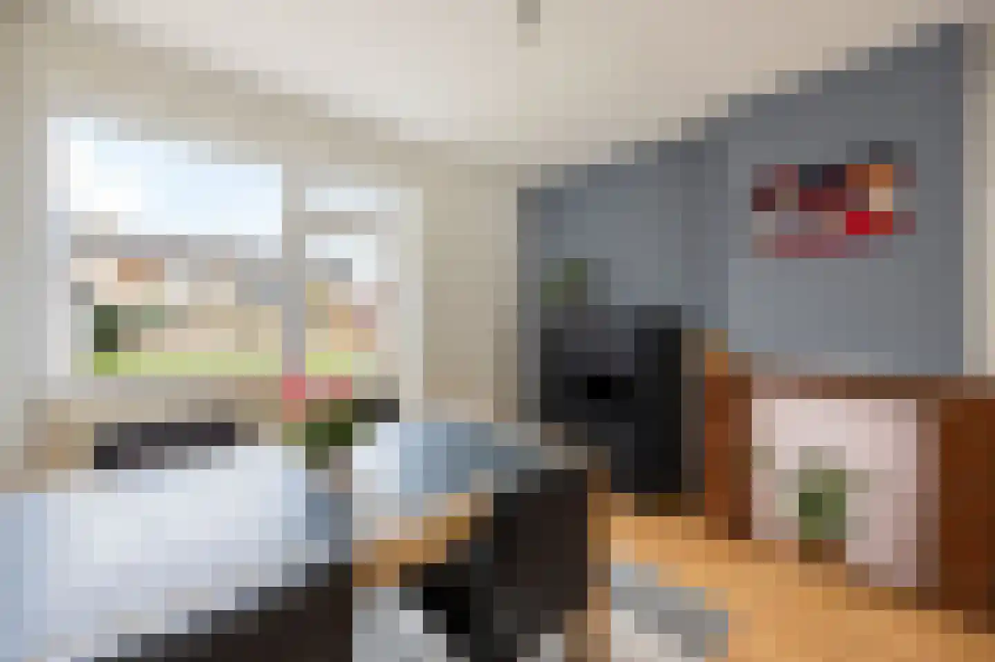 Daelenbroekweg 8 Herten thumbnail 8