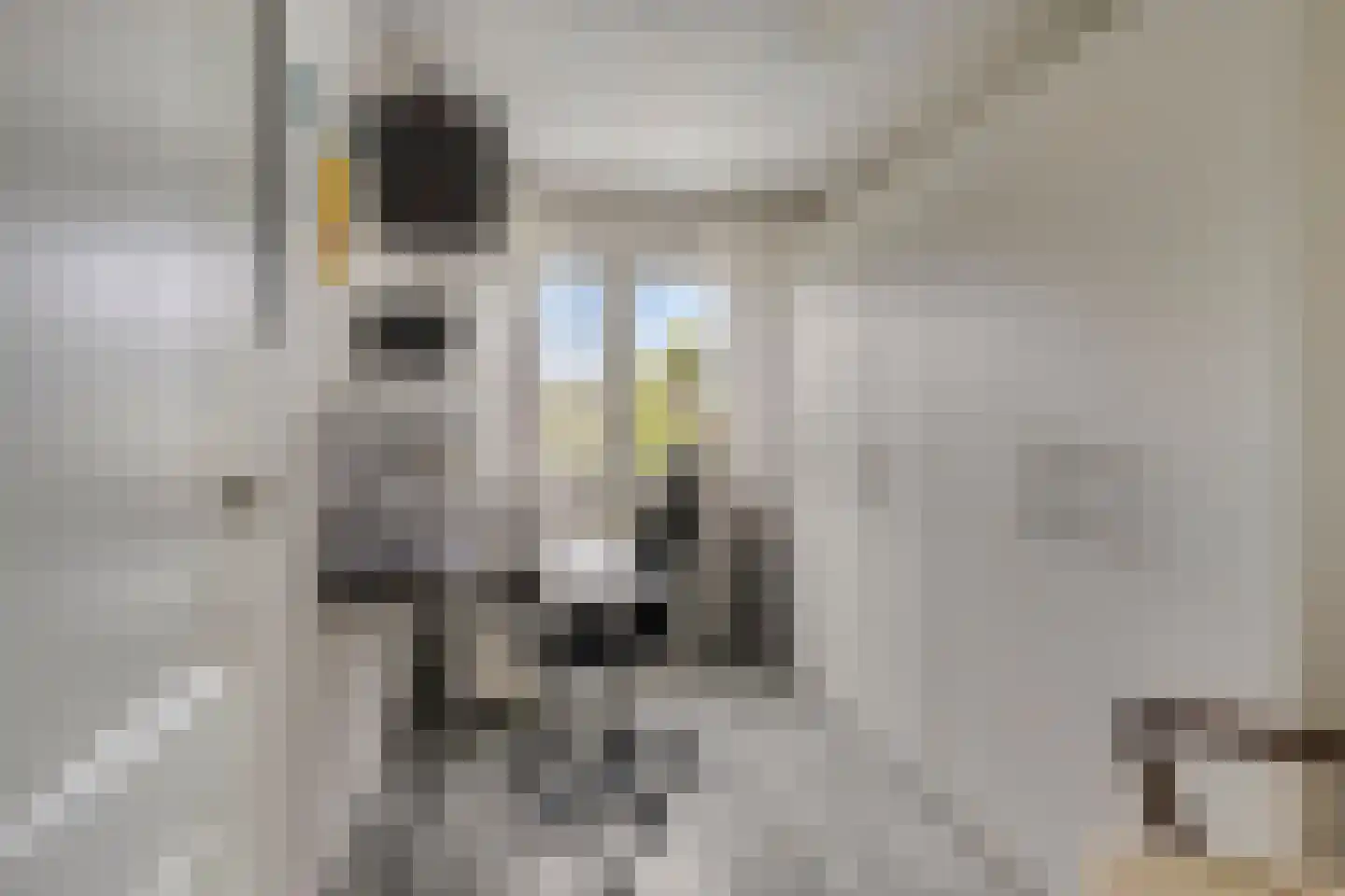 Daelenlaan 5 Landgraaf thumbnail 17