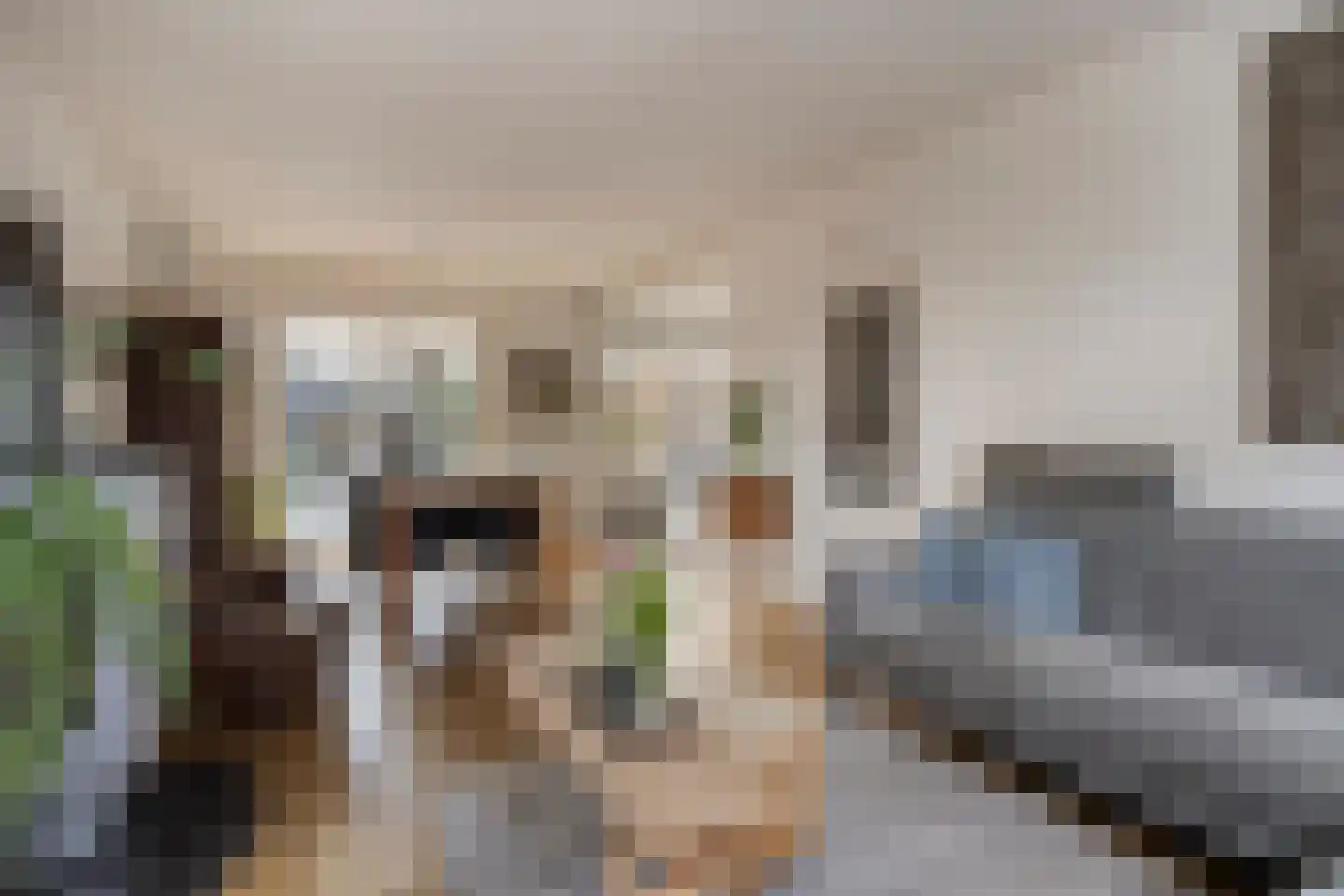 Daelenlaan 5 Landgraaf thumbnail 7