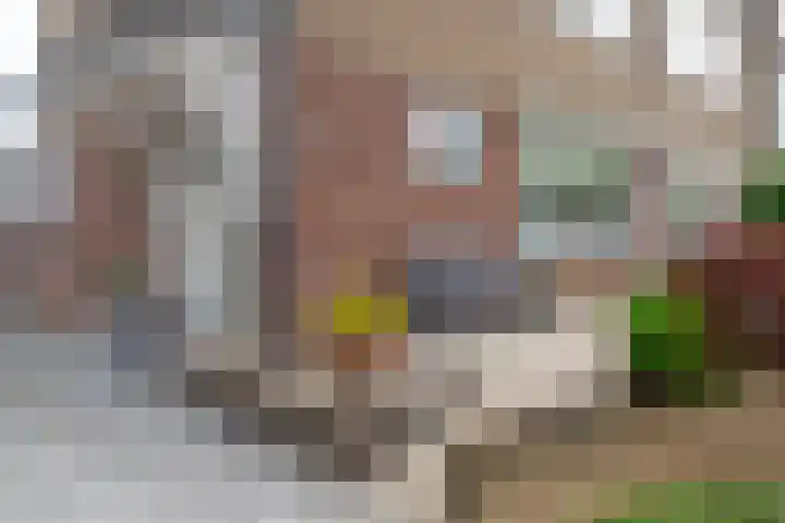 Daelenlaan 8 Landgraaf foto 2