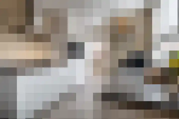 Daelenlaan 8 Landgraaf thumbnail 8