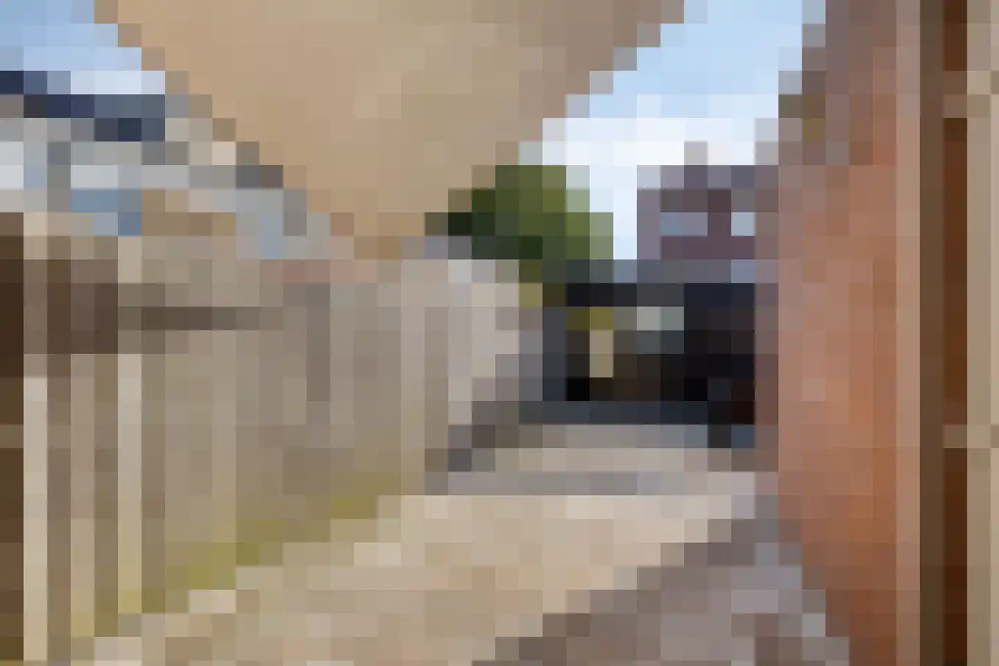 Daelhemstraat 14 Weert thumbnail 28